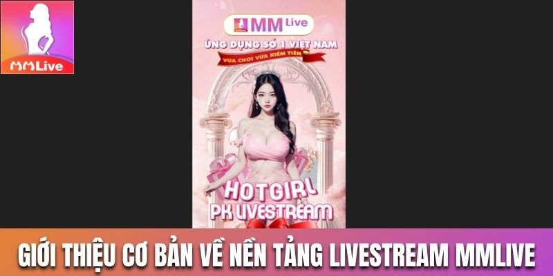 Giới thiệu cơ bản về nền tảng livestream MMLive